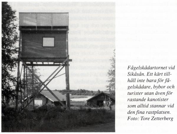 april 1990 fågeltornet