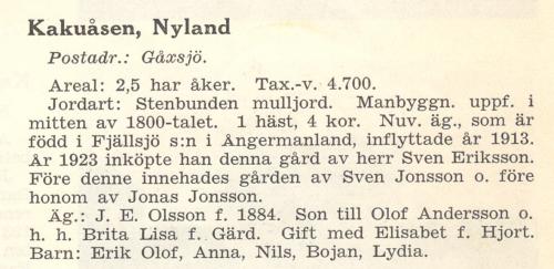nyland 02 2