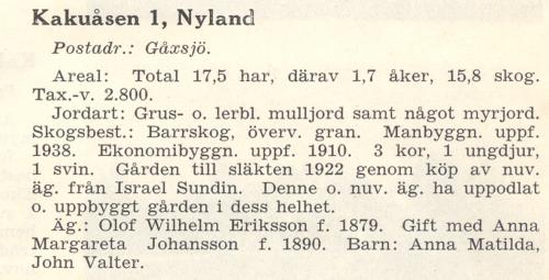 nyland 08 2